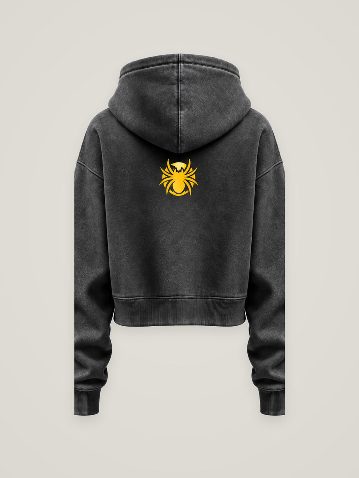 Her Element Spray Theory cropped hoodie in charcoal, back