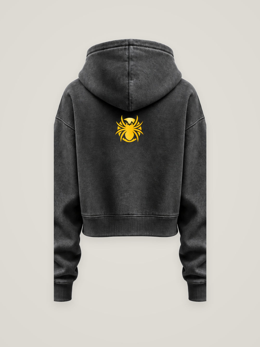 Her Element Spray Theory cropped hoodie in charcoal, back